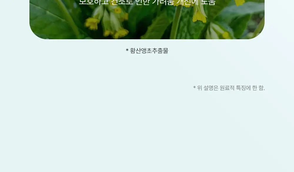[노세범/쿨링]달리프 쿨링 드라이샴푸 200ml 상세페이지 20